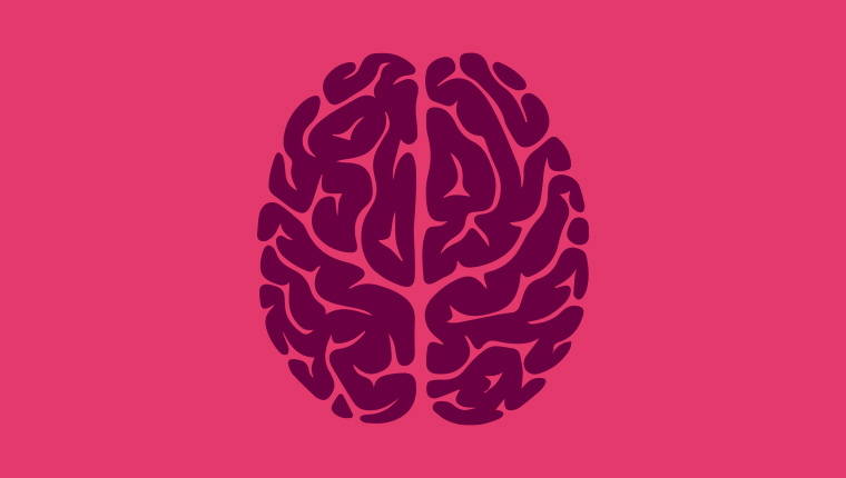 Neurodydaktyka – dlaczego warto uczyć przyjaźnie dla mózgu